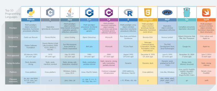 7 Programming Languages You Need to Know
