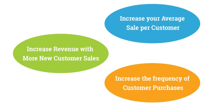 Revenue business increase surefire ways Revenue business increase surefire ways