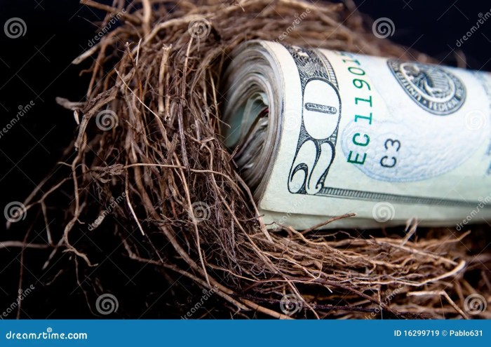 How to Build a Retirement Nest Egg