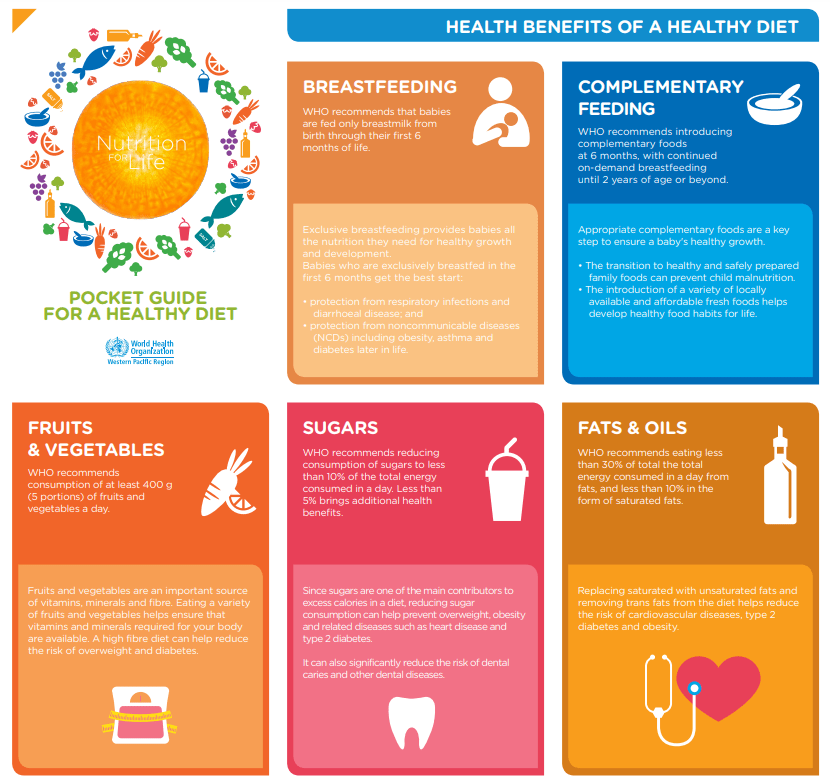 4 Essential Elements of a Healthy Diet