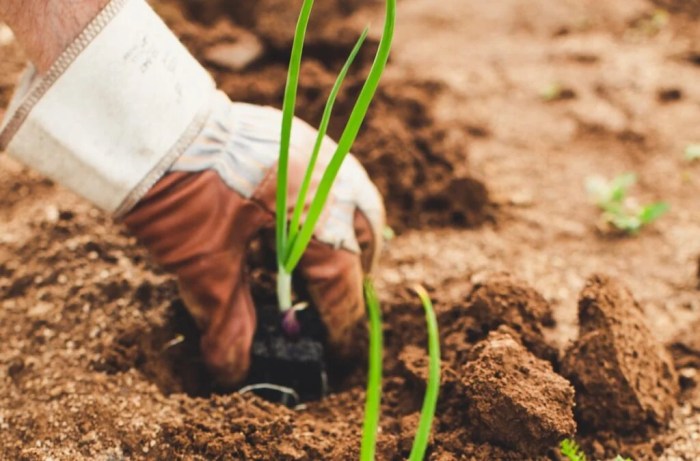 8 Steps to Building a Sustainable Business