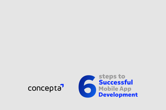 12 Critical Steps to Building a Mobile App