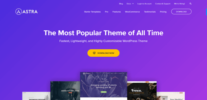 10 Steps to Building a WordPress Website