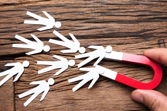 Lead magnet attract workbook