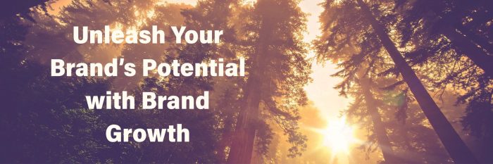 How to Build a Real Estate Brand in 30 Days