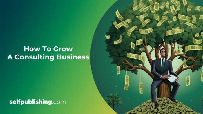How to Build a Successful Consulting Business in 6 Months