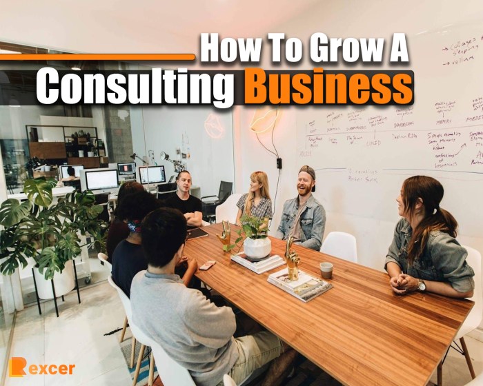 How to Build a Successful Consulting Business in 6 Months