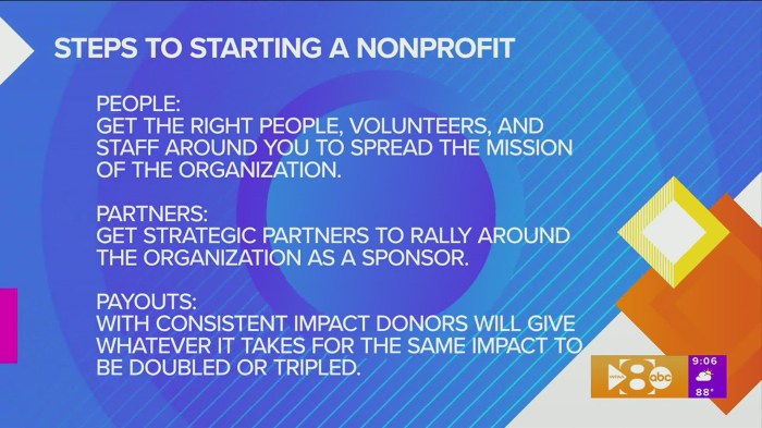 How to Build a Successful Non-Profit Organization in 1 Year