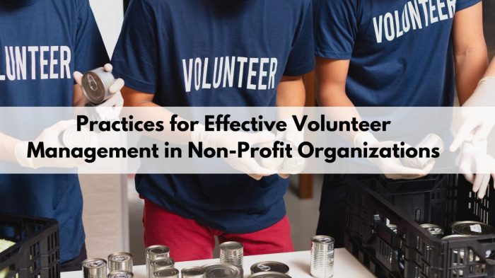 3 Simple Steps to Building a Non-Profit Volunteer Base