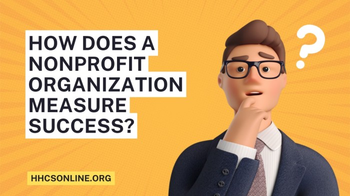 How to Build a Successful Non-Profit Organization in 1 Year