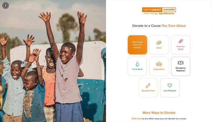 How to Build a Non-Profit Website That Attracts Donors