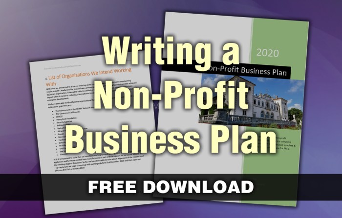 How to Build a Non-Profit Business Plan