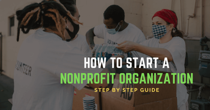 How to Build a Successful Non-Profit Organization in 1 Year
