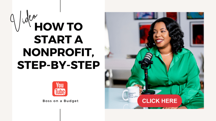 How to Build a Successful Non-Profit Organization in 1 Year