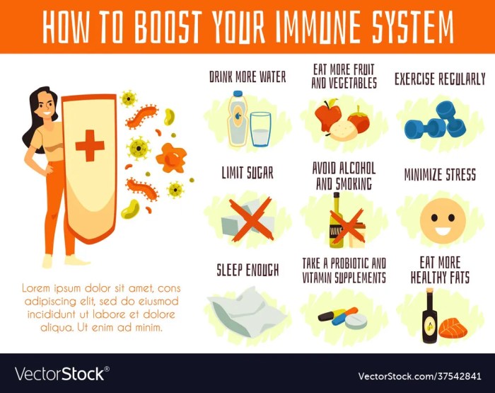 Immune system
